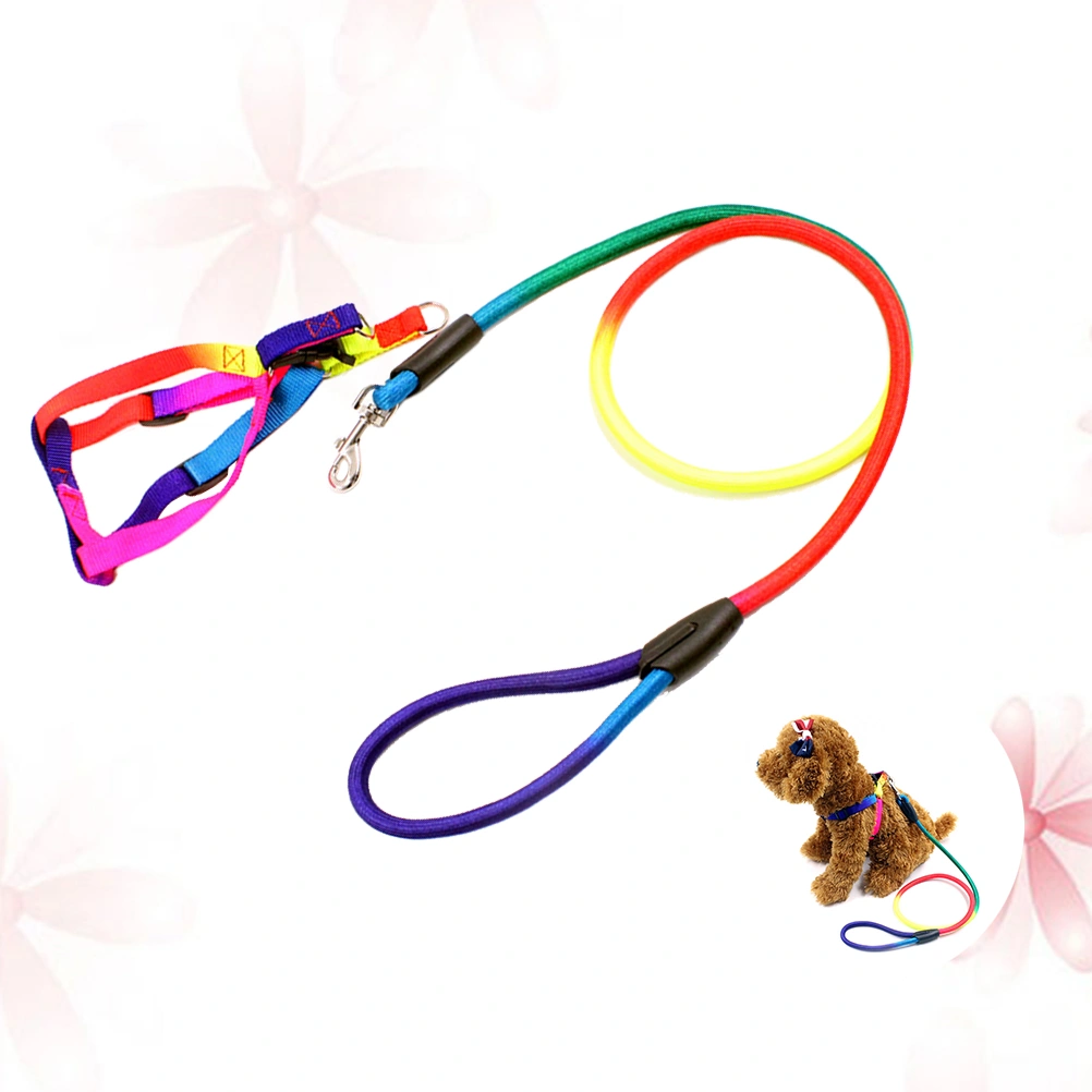 Rainbow Color Dogs Collars Leads Puppy Harness Leashes Chest Straps Pet Traction Ropes Dog Supplies - Size L