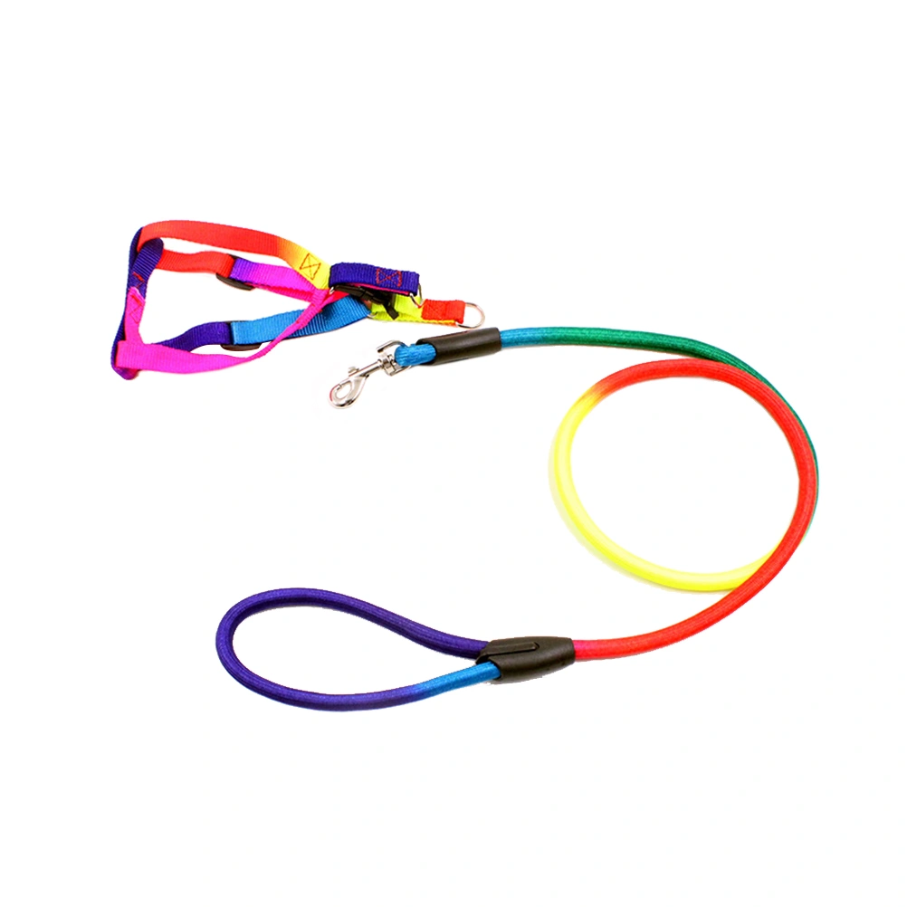 Rainbow Color Dogs Collars Leads Puppy Harness Leashes Chest Straps Pet Traction Ropes Dog Supplies - Size L