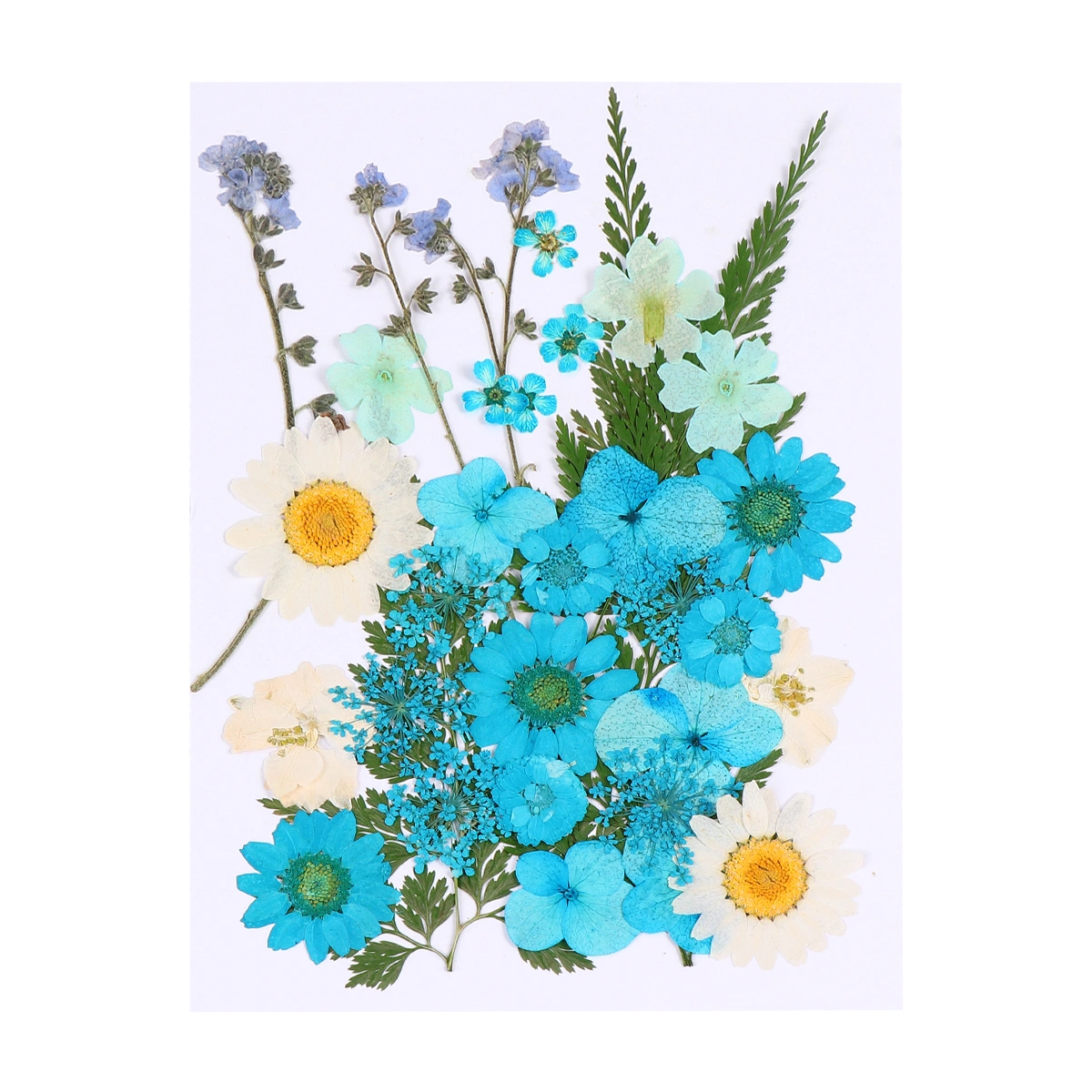 35pcs DIY Dried Flower Ornament Handmade Mixed Flower Material Flower Plants Specimen Decor for Art Craft