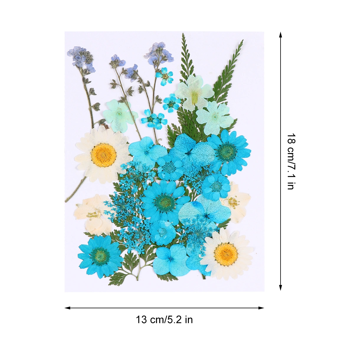 35pcs DIY Dried Flower Ornament Handmade Mixed Flower Material Flower Plants Specimen Decor for Art Craft