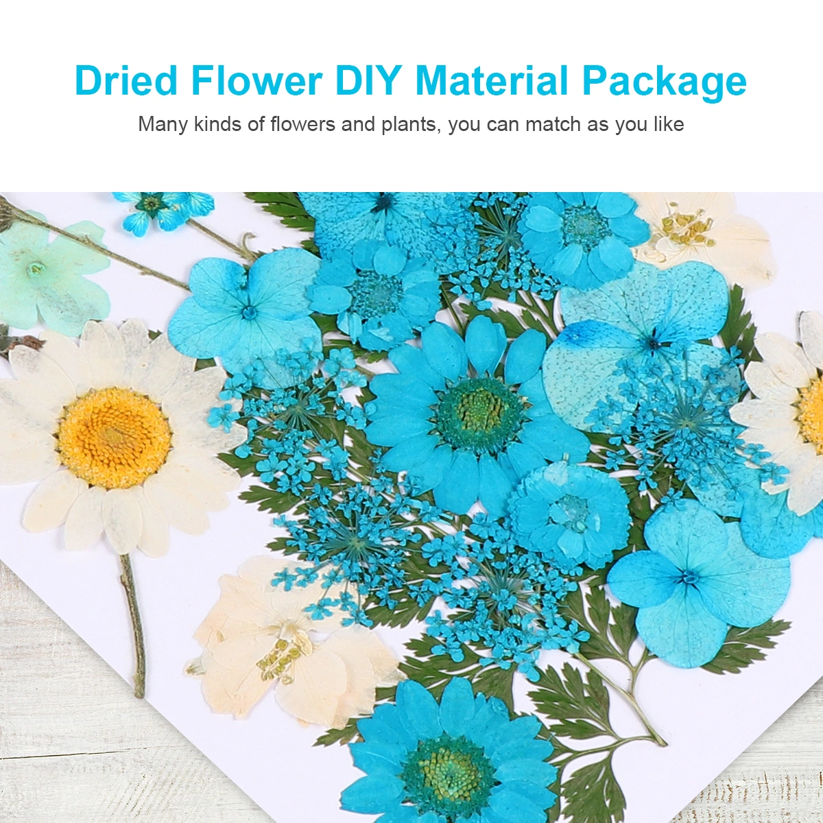 35pcs DIY Dried Flower Ornament Handmade Mixed Flower Material Flower Plants Specimen Decor for Art Craft