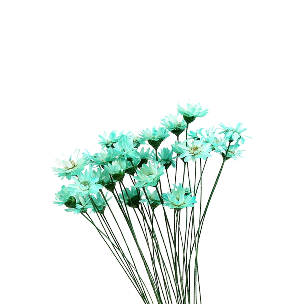 30Pcs Natural Daisy Preserved Flowers Delicate Dried Flowers DIY Jelly Lipstick Glass Ball Everlasting Flower Bouquet Photography Props (Light Blue)