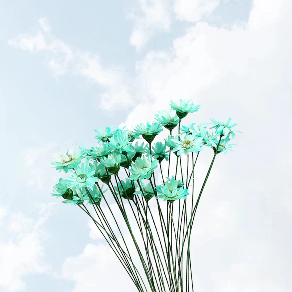 30Pcs Natural Daisy Preserved Flowers Delicate Dried Flowers DIY Jelly Lipstick Glass Ball Everlasting Flower Bouquet Photography Props (Light Blue)