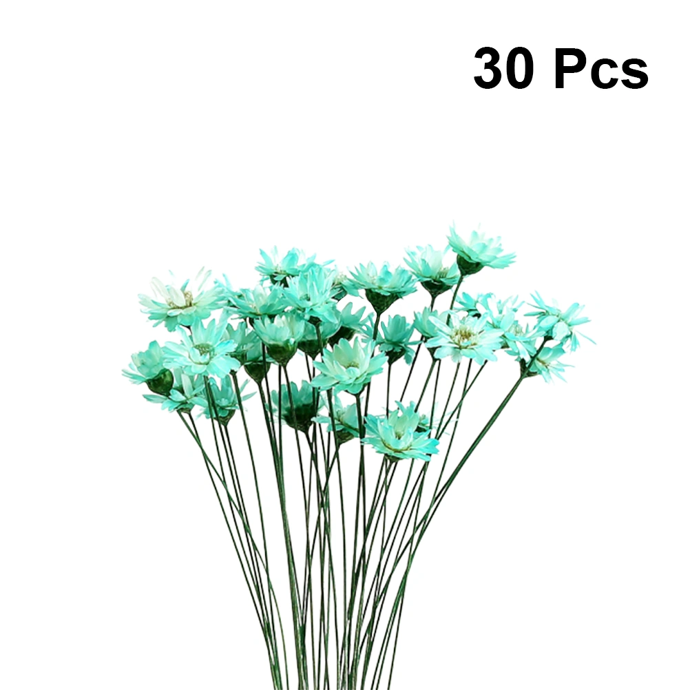 30Pcs Natural Daisy Preserved Flowers Delicate Dried Flowers DIY Jelly Lipstick Glass Ball Everlasting Flower Bouquet Photography Props (Light Blue)
