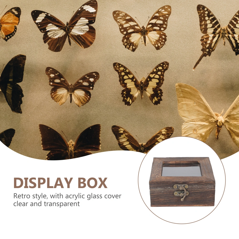 Insect Specimen Display Box Retro Sample Container Jewelry Packaging Box