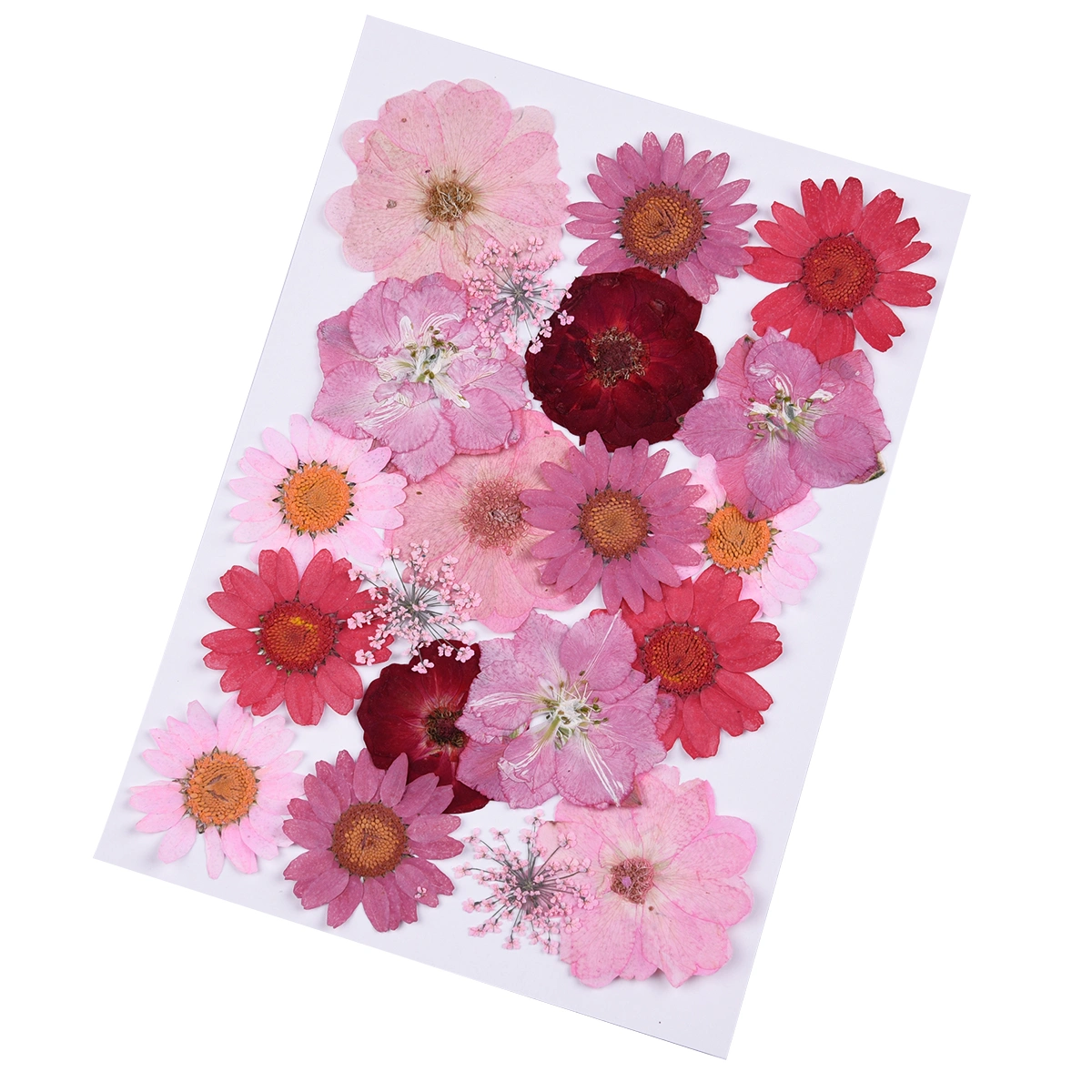 20pcs DIY Pressed Dried Flowers Epoxy Flower Materials Multiple Real Dried Flowers Plants Specimen (Red, 7 Flowers)