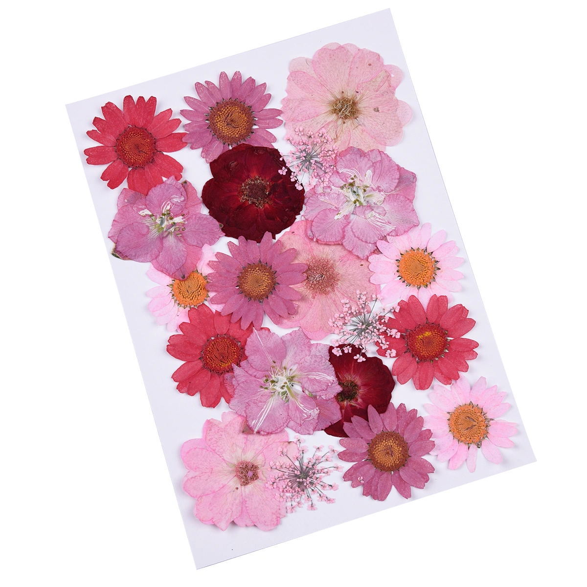 20pcs DIY Pressed Dried Flowers Epoxy Flower Materials Multiple Real Dried Flowers Plants Specimen (Red, 7 Flowers)