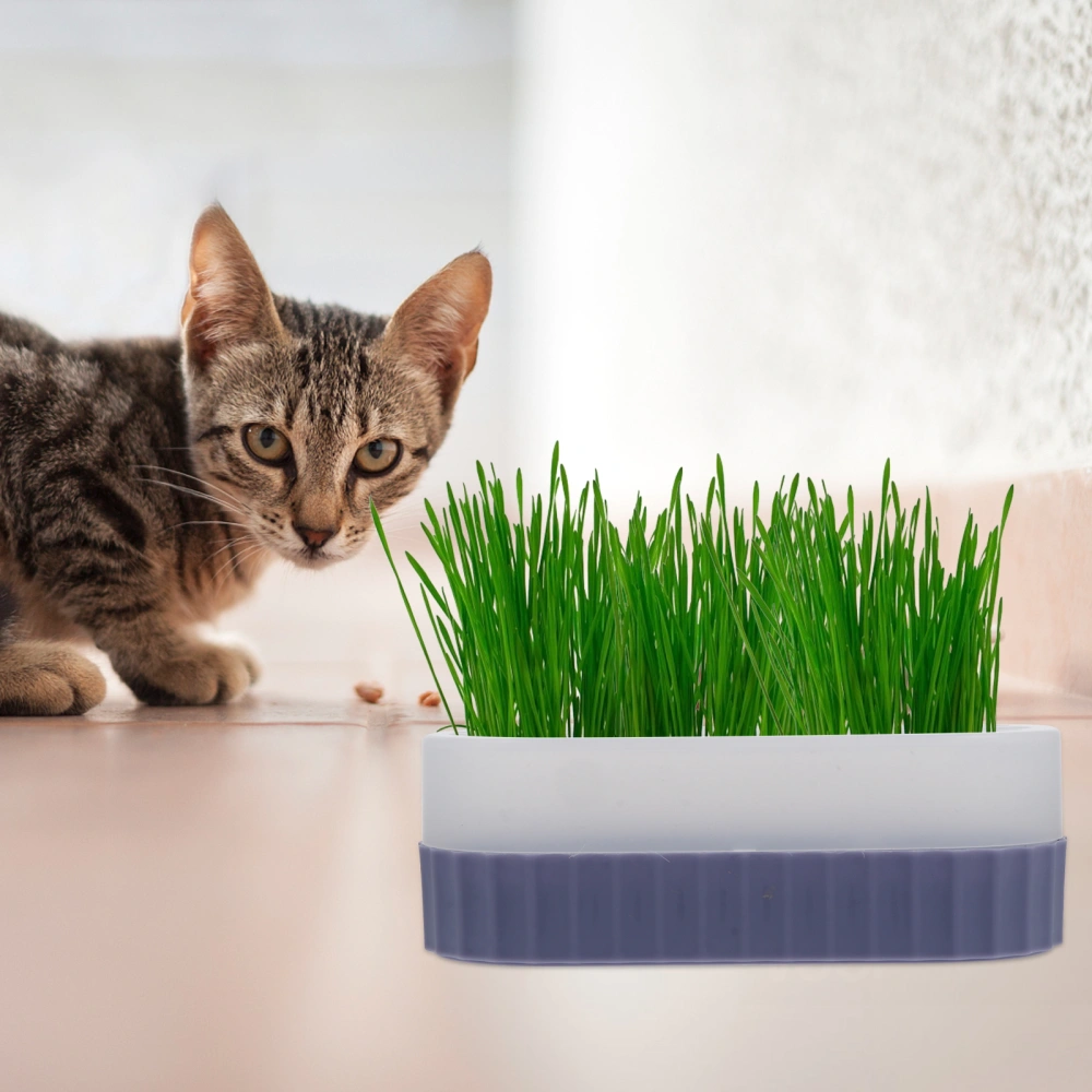 1 Set Cat Grass Planting Box Soilless Culture Cat Grass Planting Container