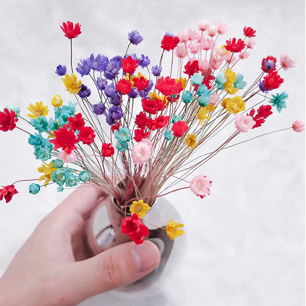 30Pcs Natural Daisy Preserved Flowers Delicate Dried Flowers DIY Jelly Lipstick Glass Ball Everlasting Flower Bouquet Photography Props (Purple)
