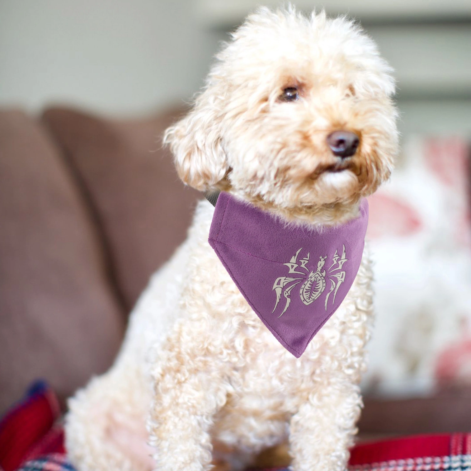 Halloween Pet Bandana Portable Dog Bandana Decorative Dog Luminous Spider Bandana