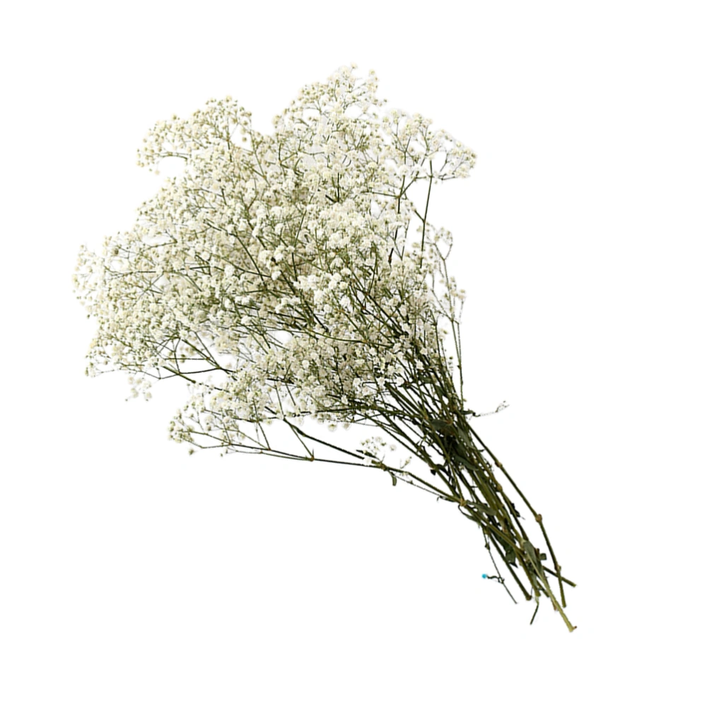 Dried Flower Bouquet Fashion Gypsophila Decor Dried Gypsophila Bouquet Gypsophila Preserved Flower (White)