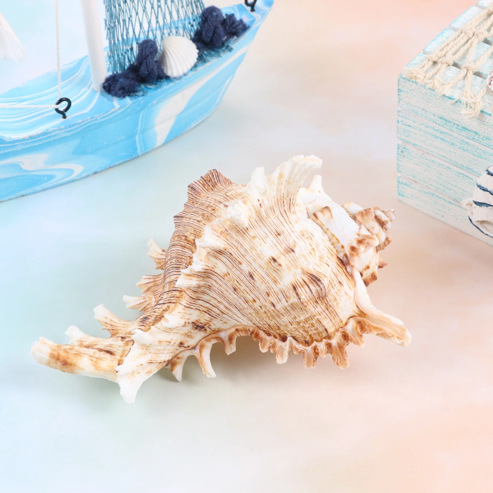 1PC Natural Shell Conch Package Landscape Aquarium Ornament for Fish Tank Decoration (11-12cm)