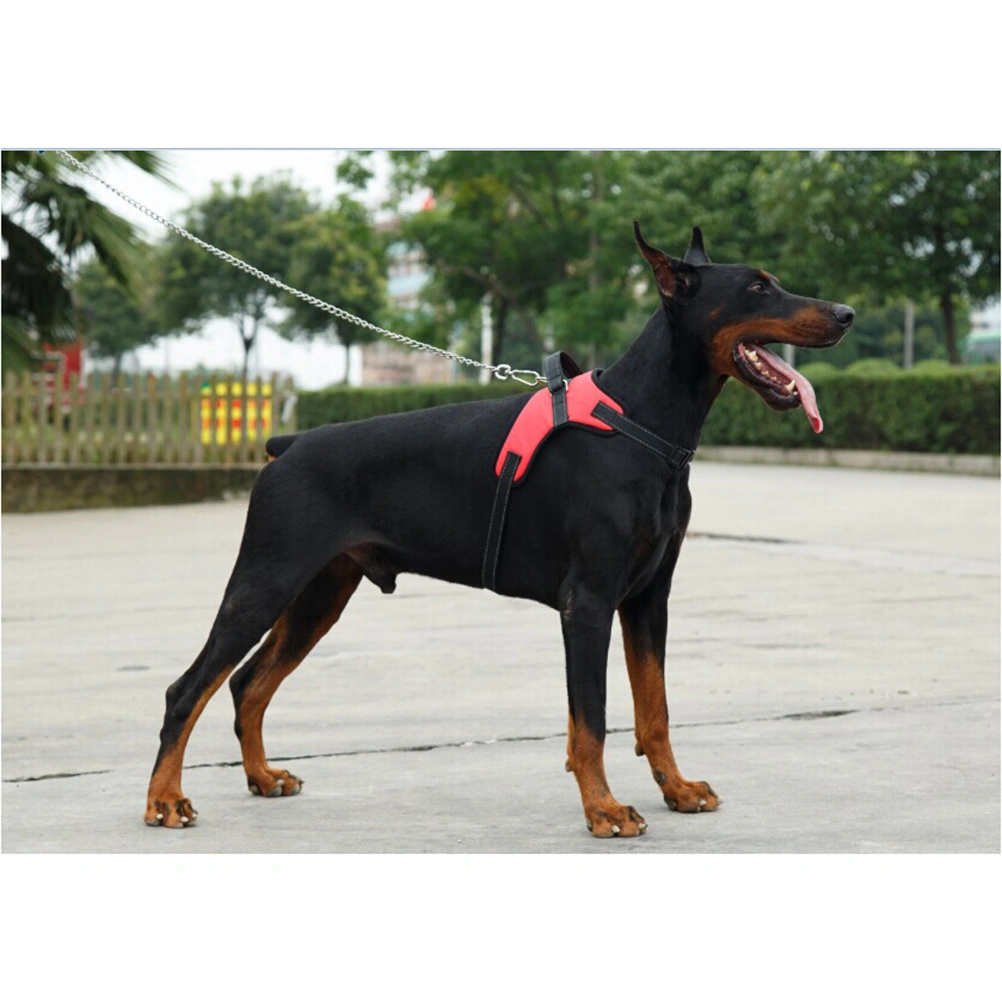 Saddle Style Oxford Cloth Dog Harness for Medium Large Dog - Size M (Red)