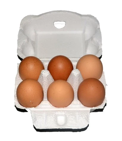 25 pcs Chicken Egg Cartons Empty Egg Carton Egg Storage Holder Chicken Egg Organizer Containers