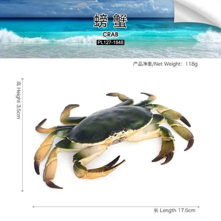 Realistic Simulation Crab Model Educational Plastic Simulated Crab Model Artificial Animal Model