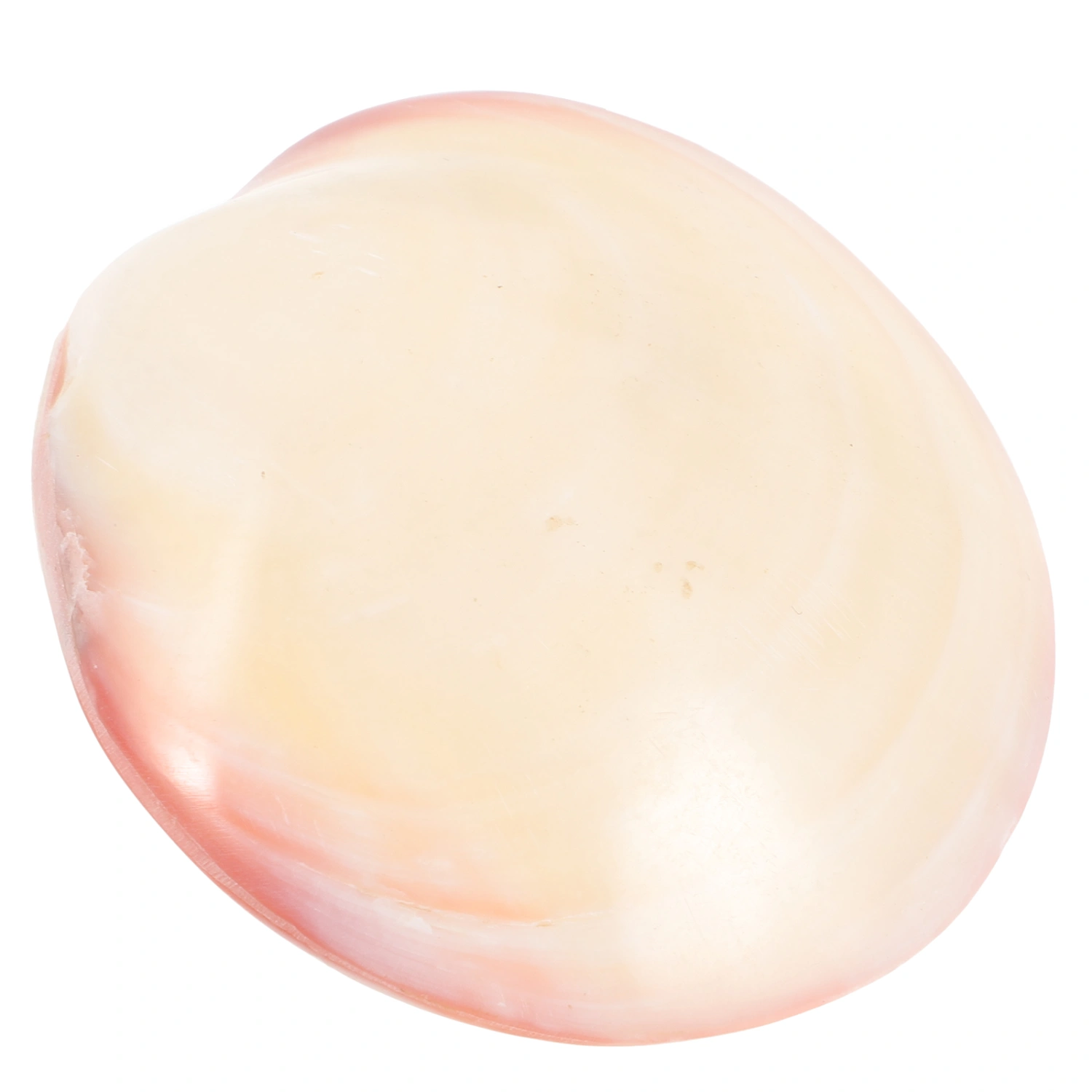 Mini Shell Trinket Box Shell Shaped Jewelry Case Natural Seashell Wrapping Box Decorative Trinket Case