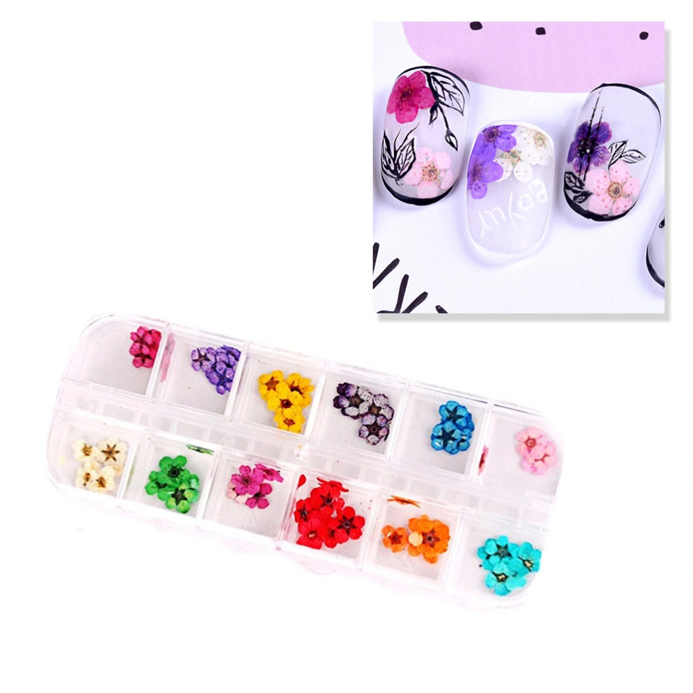 12pcs Nails Art Sticker Nail Wraps Sticker Dried Flower Fingernails Decals (Five Petaled Flowers, Random Color)