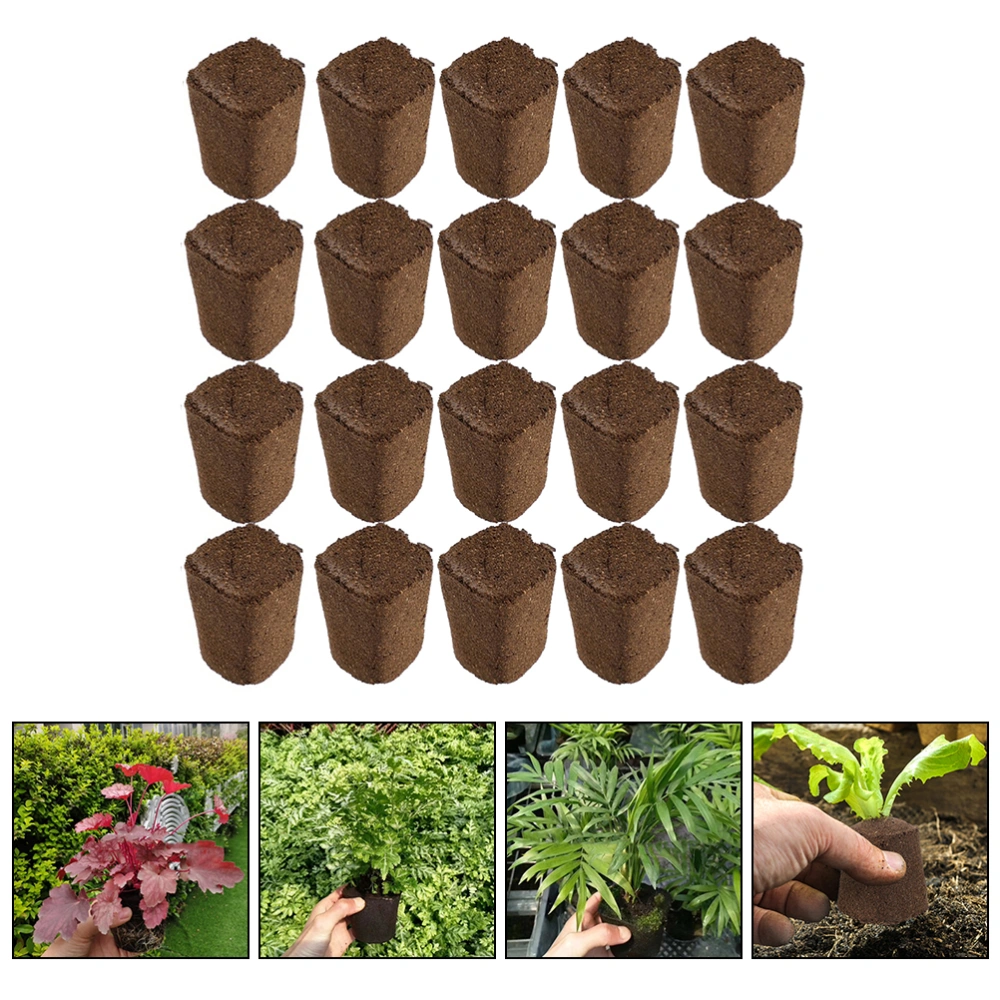 20Pcs Professional Nutrient Block Plant Soilless Cultivation Nutrient Peat Block