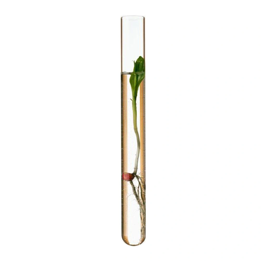 8 PCS Glass Clear Test Tubes with Cork Stoppers and Brush for Scientific Experiments Powder Liquid Storage 20x150mm