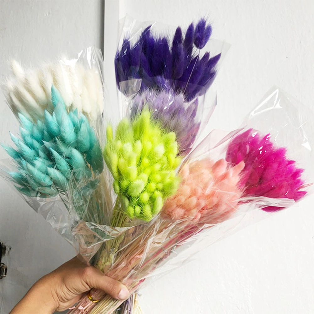 1 Bunch/60 Pcs Wedding Decoration Dried Grass Rabbit Tail Hay Natural Plants Dried Flowers for Photography Flower Arrangement (Blue)