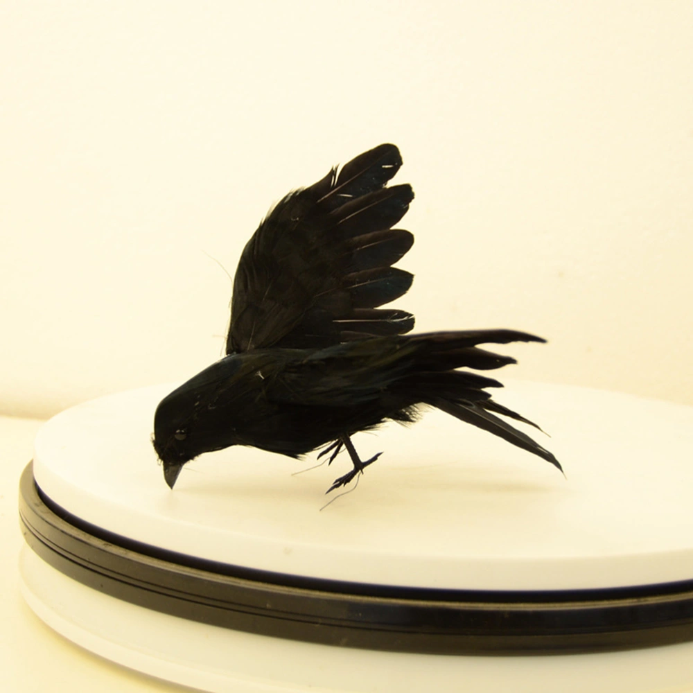 1PC Simulated Crow Props Black ed Birds Halloween Easter Decoration with Spread Wings