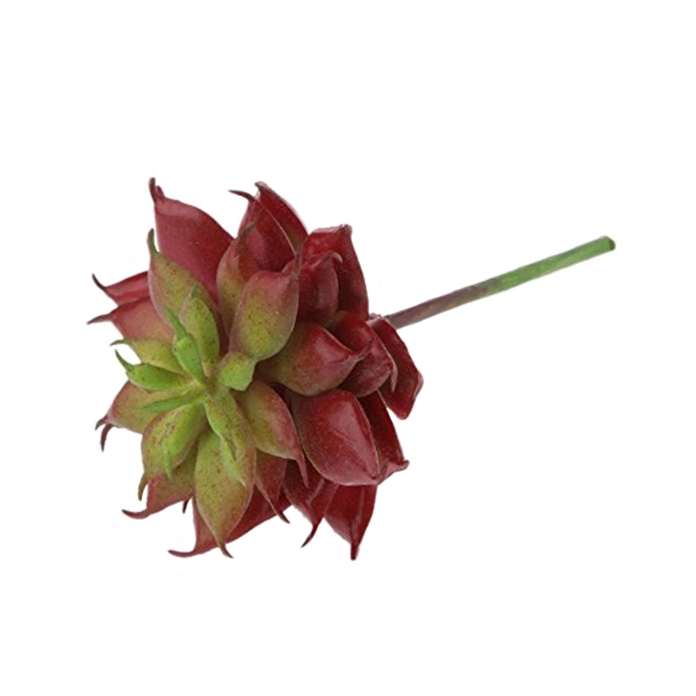 Realistic Artificial Succulent Cactus Small Plastic Succulent Plants Unpotted for Home Garden Decoration (Reddish Brown)