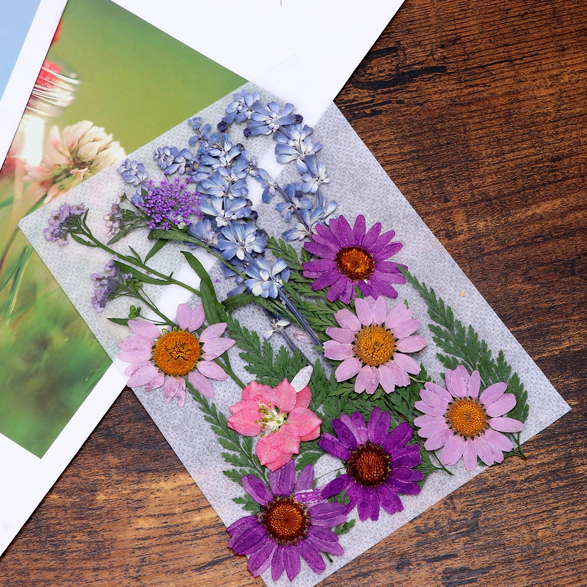 1 Set Dried Flower Material Package Flower Plants Specimen Herbarium Bookmark DIY Dried Flower Material (Purple, About 22pcs)
