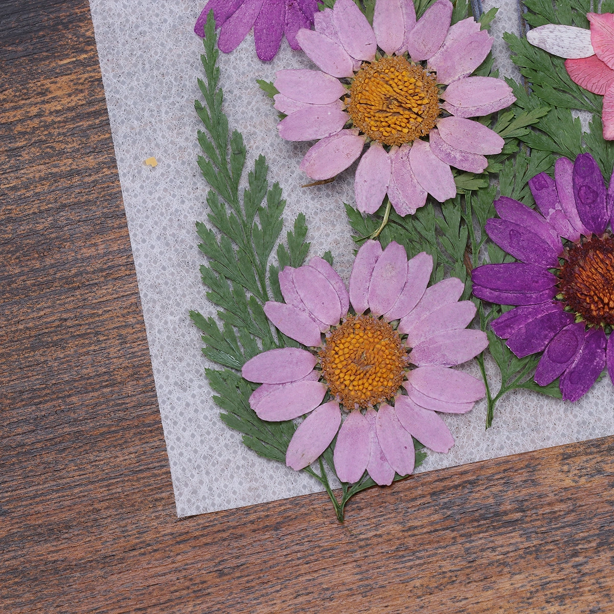 1 Set Dried Flower Material Package Flower Plants Specimen Herbarium Bookmark DIY Dried Flower Material (Purple, About 22pcs)