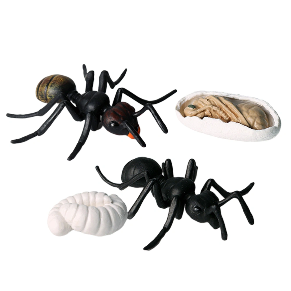 5PCS Simulation Ant Model Set Artificial Animal Figurine Kids Plastic Ant Toys for Home Kindergarten (Black)