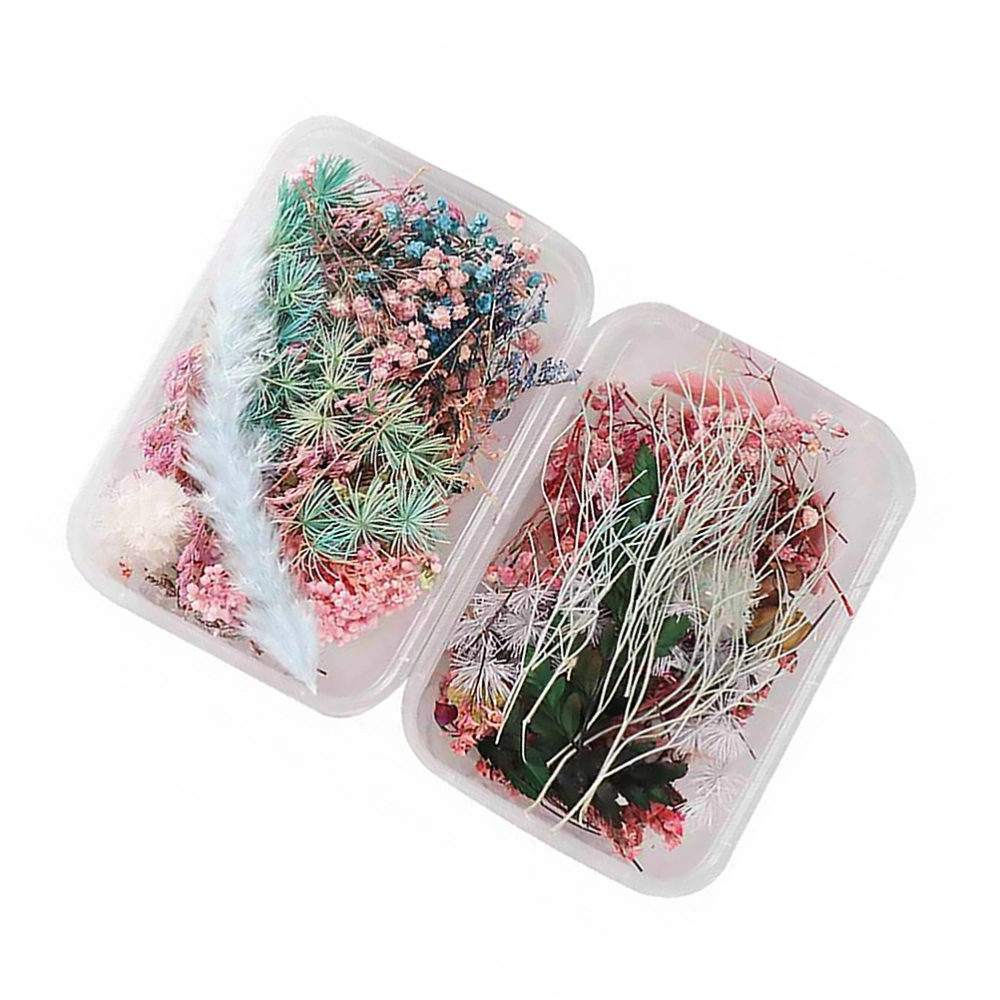 2 Boxes Colorful Real Dried Flower Plant Aromatherapy Craft Gift DIY Decoration