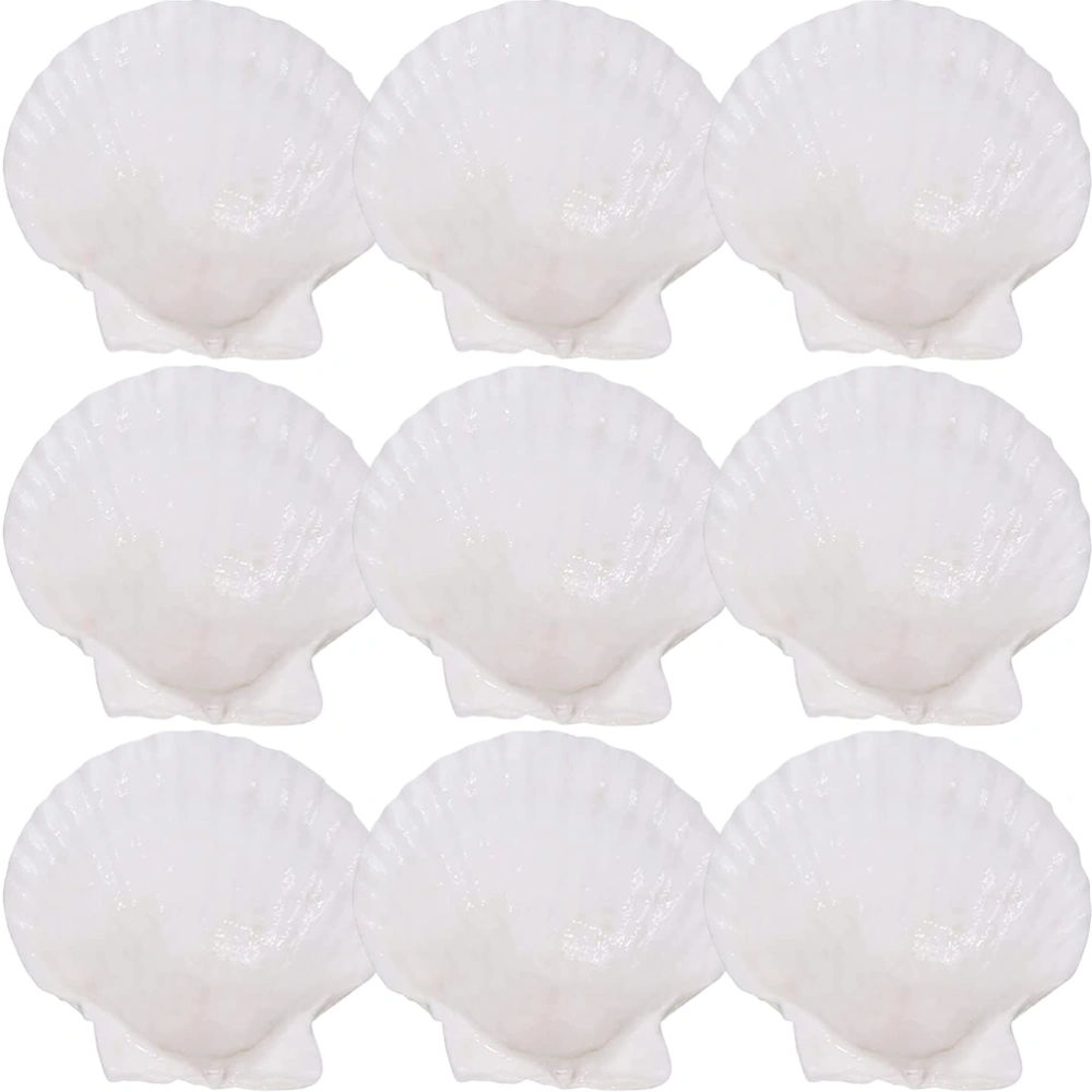 9Pcs Natural Shell Plates Seashell Dinner Plate Fruit Plate Creative Shell Plate