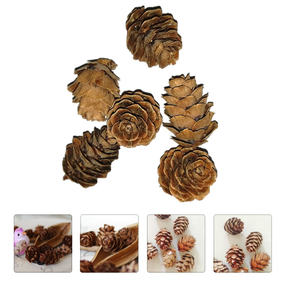 50 Pcs Small Pine Cone Adornments Pine Cone Photo Props for Decoration