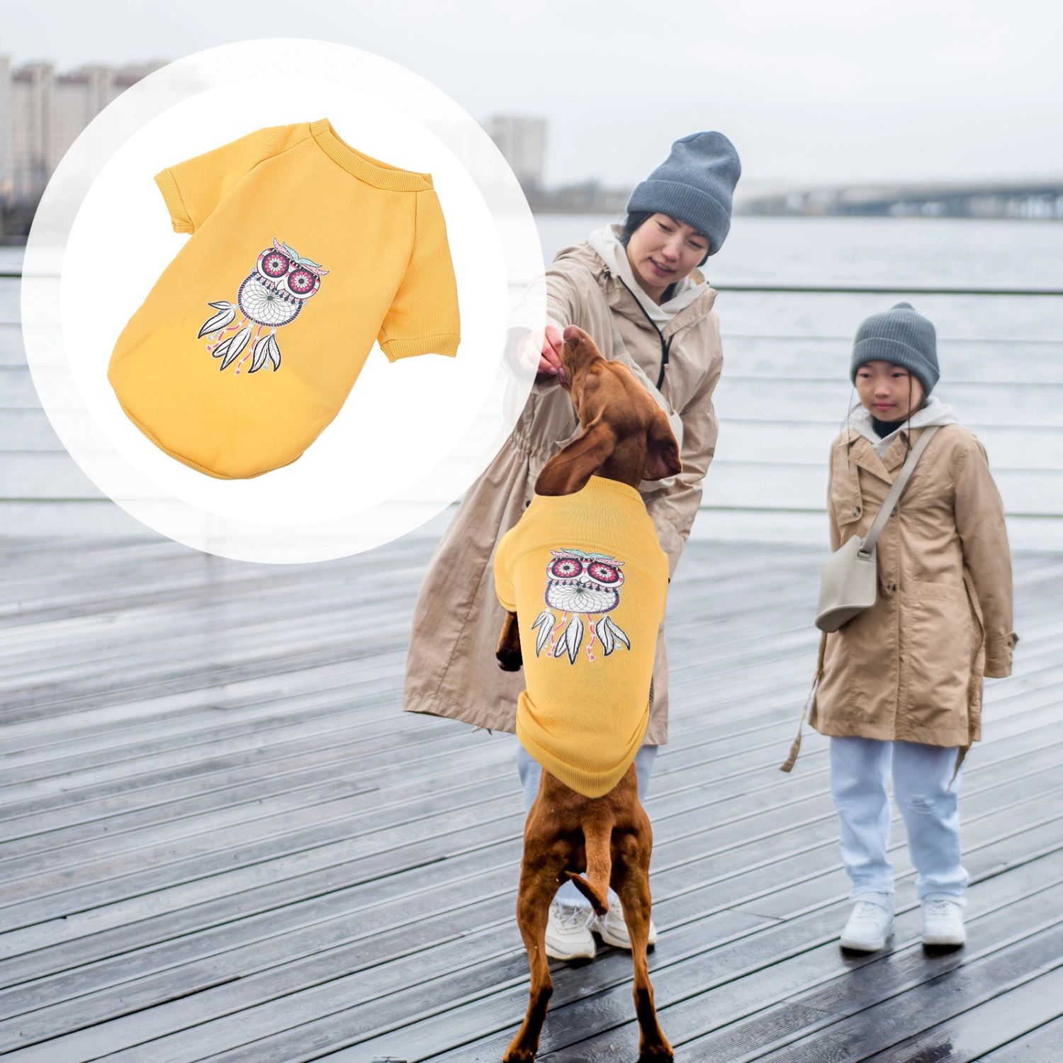 Pet Puppy Clothes Autumn Winter Clothes for Dog Decorative Pet Dog Clothes