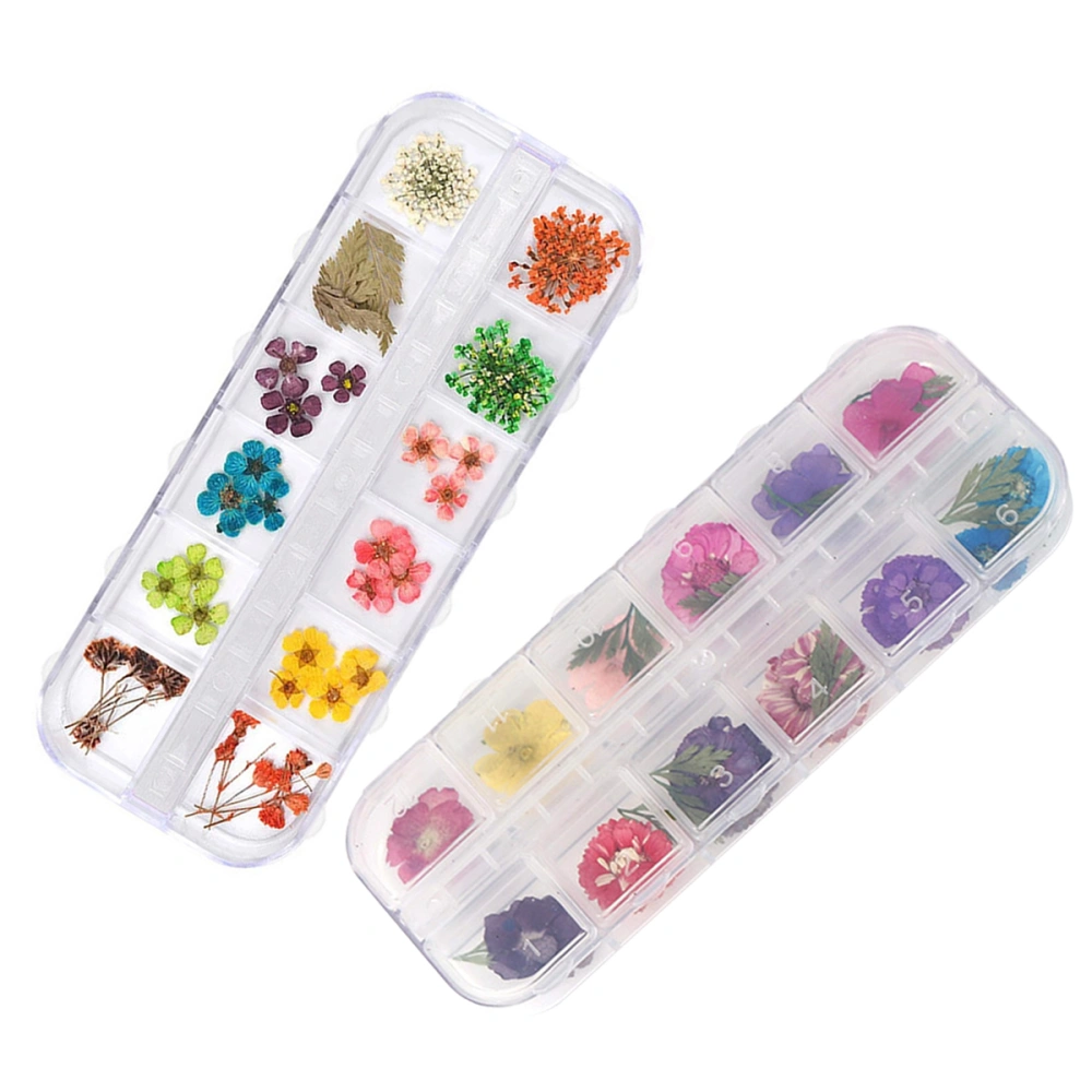 2 Boxes Applique Dried Flower Nail Art Sticker Natural Dried Plants Nail Tip Decal Manicure Decoration for Women Girl (1 Box of 12Girds Cherry Blossom and Daisies + 1 Box of Five Petal Flowers)