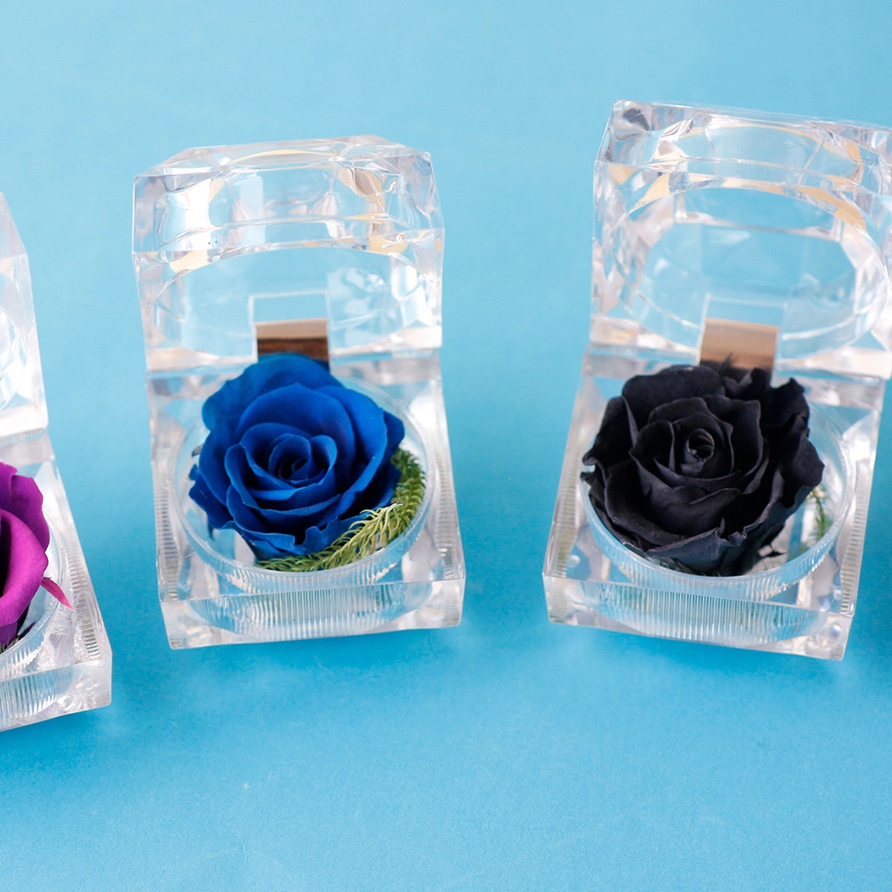 1Pcs Preserved Fresh Rose Flower in Glass Dome with Ribbon Decoration Rose Gift for Valentine's Day Anniversary Birthday (Black)