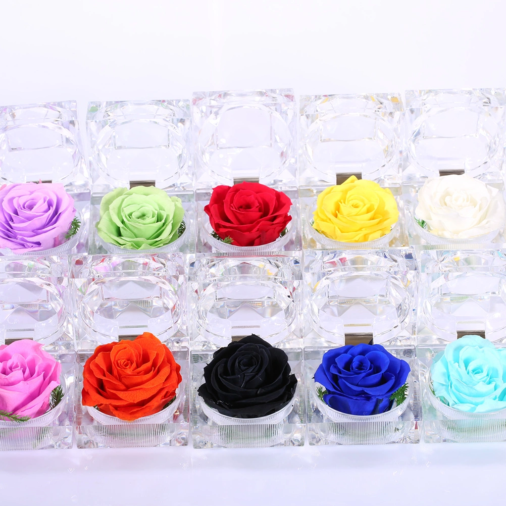 1Pcs Preserved Fresh Rose Flower in Glass Dome with Ribbon Decoration Rose Gift for Valentine's Day Anniversary Birthday (Black)