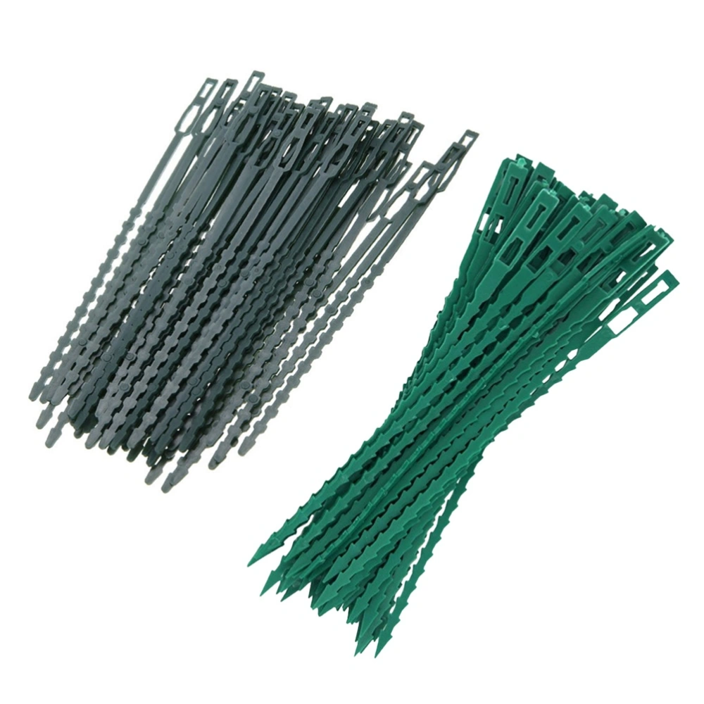 100PCS Plant Plastic Cable Ties Vine Climbing Fixed Buckles Reusable Fish Bone Spur Shape Cables for Gardening (50PCS Long Ties, 50PCS Short Ties)