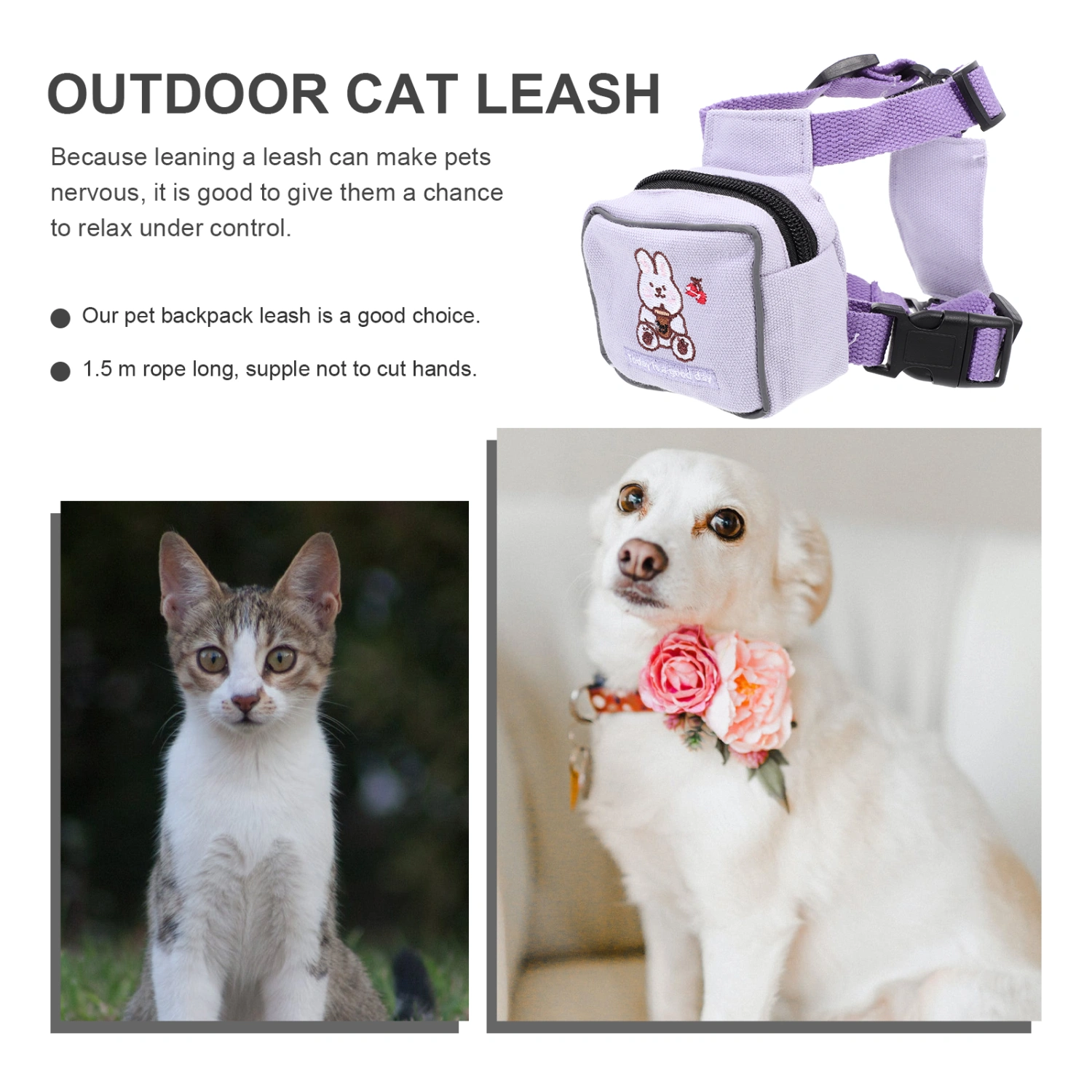 Pet Backpack Leash Cat Harness and Leash Outdoor Cat Leash Decorative Pet Harness