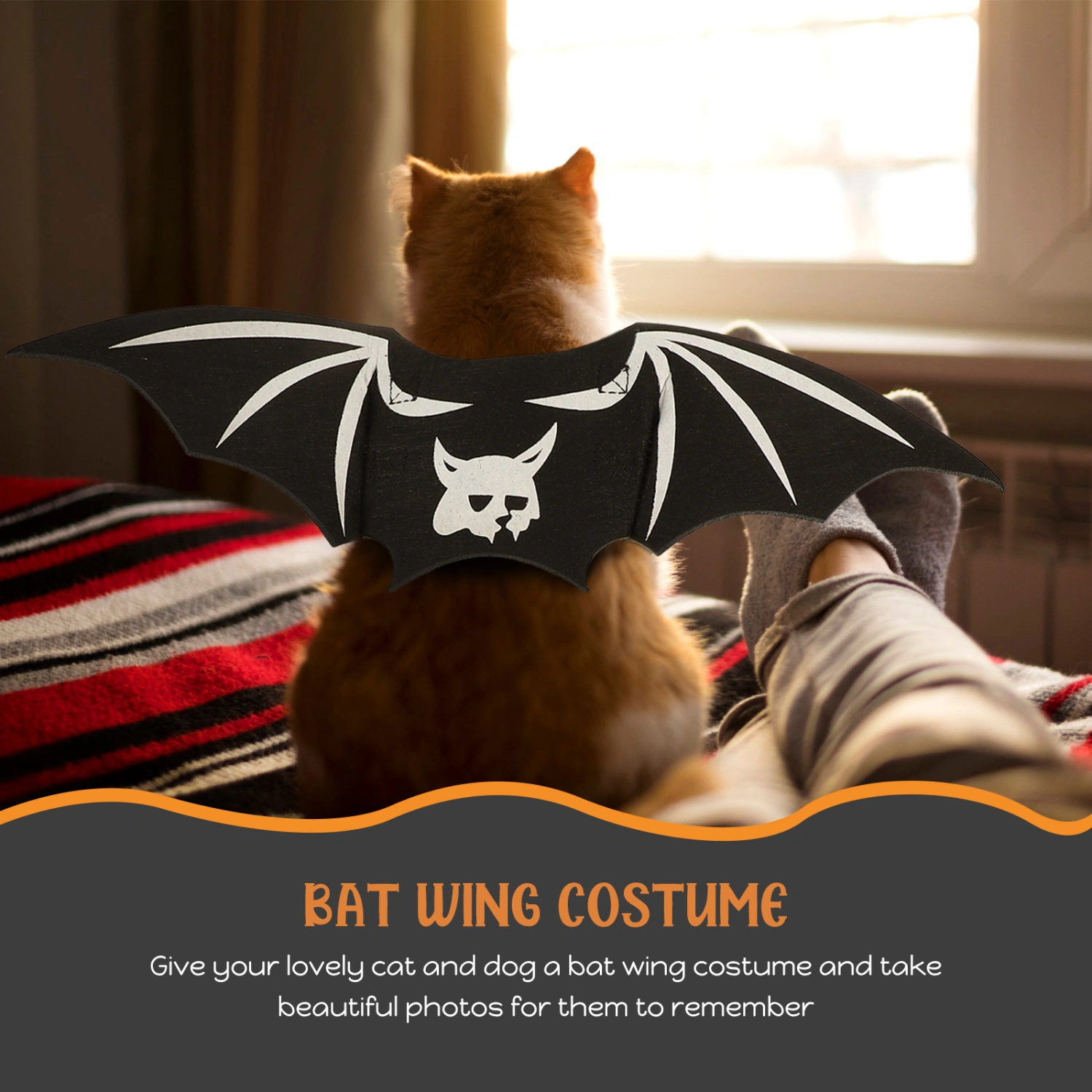 Halloween Cat Bat Wing Costume Comfortable Dog Costume Prop Halloween Pet Photo Prop