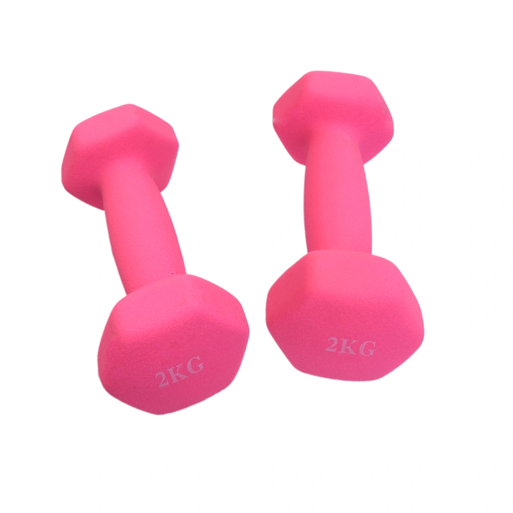 One Pair Exercise Dumbbells Frosted Dumbbells Lady Barbells Hand Bar For Yoga Fitness Lose Weight Random Color (2kg)