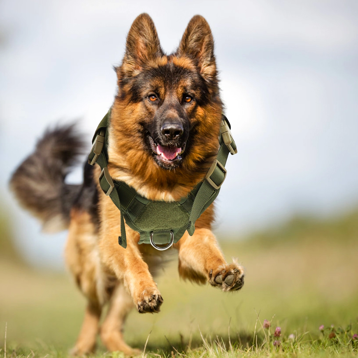 German Shepherd Tactics Vest Outdoor Large Dog Harness Working Dog Accessory