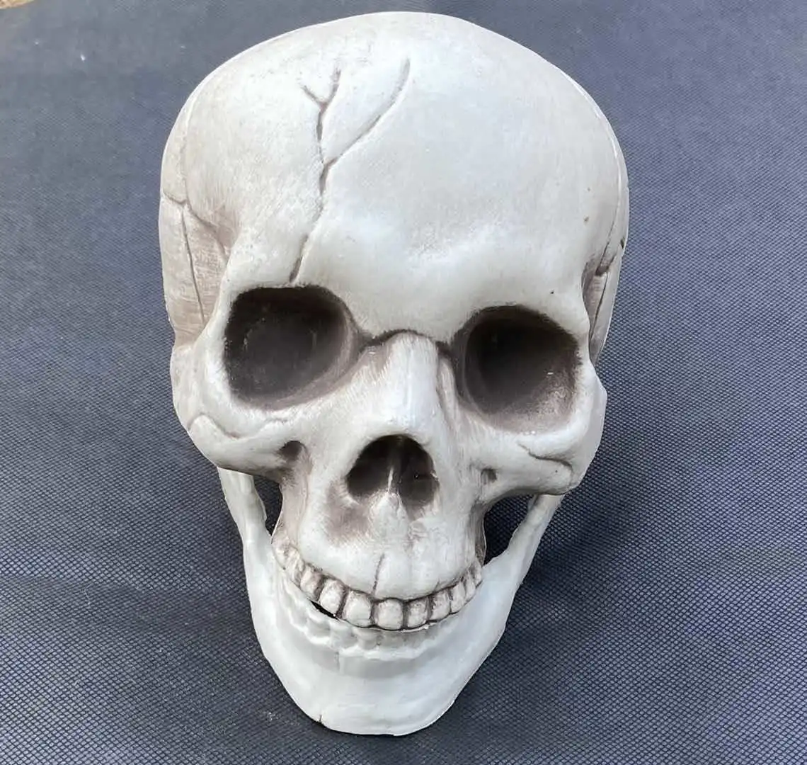 Skull Adornment Haunted House Skull Ornament Simulation Skull Decoration Party Skull Statue