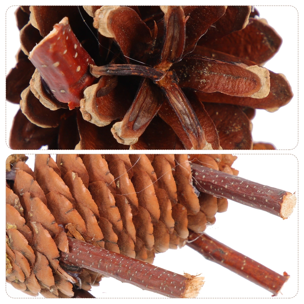 2pcs Pine Cones Themed Animal Shape Adornments Household Garden Decor Home Ornament