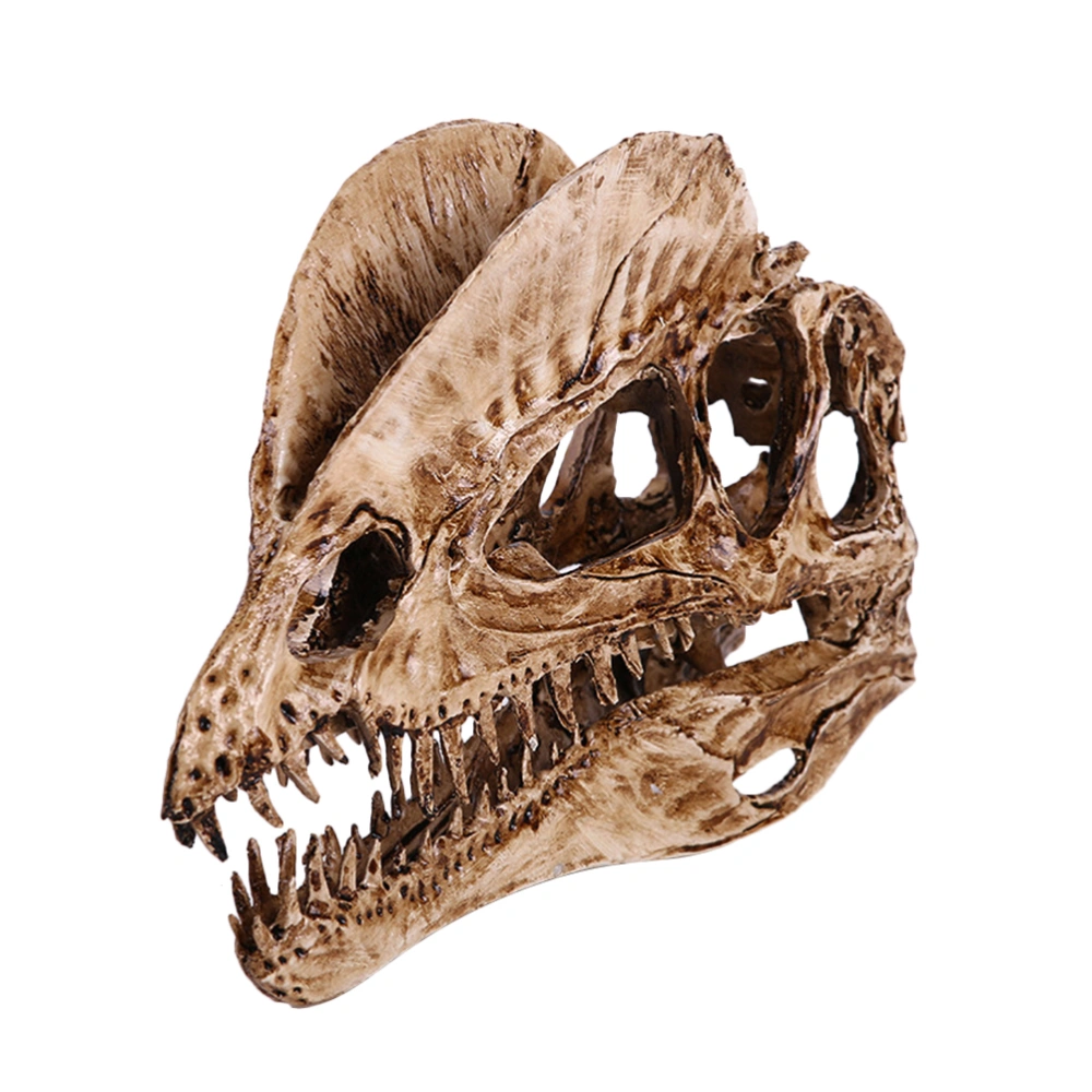 1PC Delicate Dilophosaurus Skull Ornamment Resin Dinosaur Skull Model Crafts Decor Vivid Dinosaur Skull Adornment Creative Dinosaur Skull Model Decor Household Dinosaur Skull Adornment for Home Bar Random Color