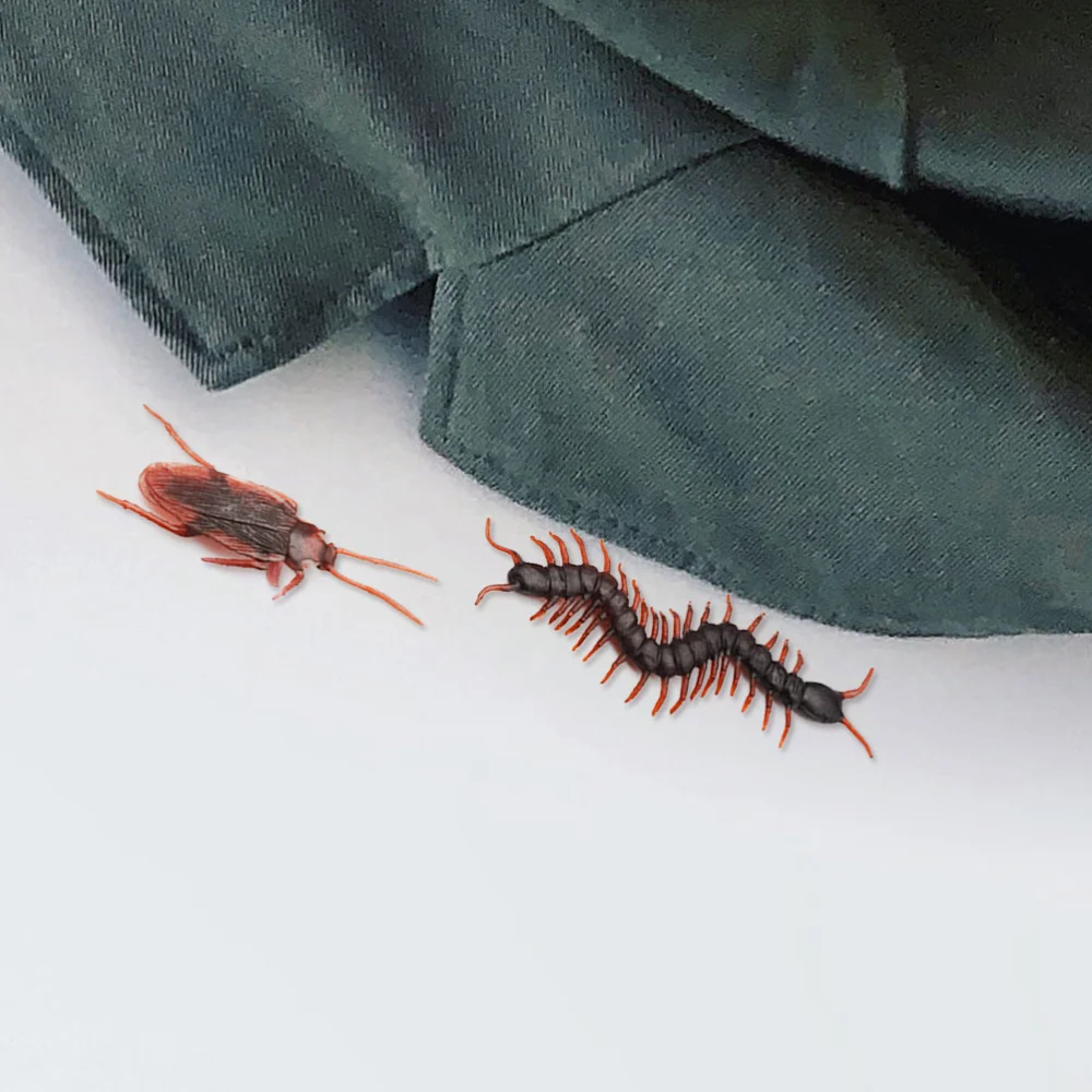 100pcs Halloween Tricky Props Fake Centipede Cockroach Simulation Animal Prop for Halloween April Fool's Day Mischief 50pcs Cockroaches and 50pcs Large Centipedes