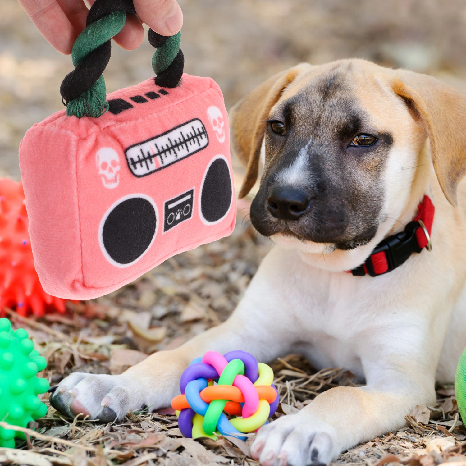 Pet Plush Toys Dog Chew Toys Puppy Cats Biting Sound Squeaky Toys Radio Design (Rose Red)