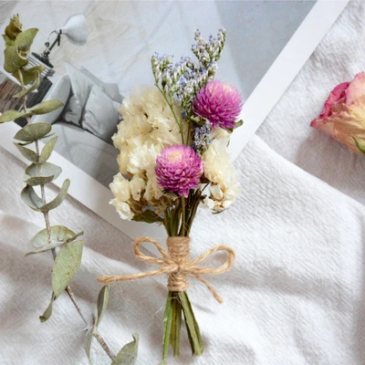 6 Bundles of Dried Flower Bouquet Mini Natural Plume Dried Flowers Ornaments Diy Craft Material