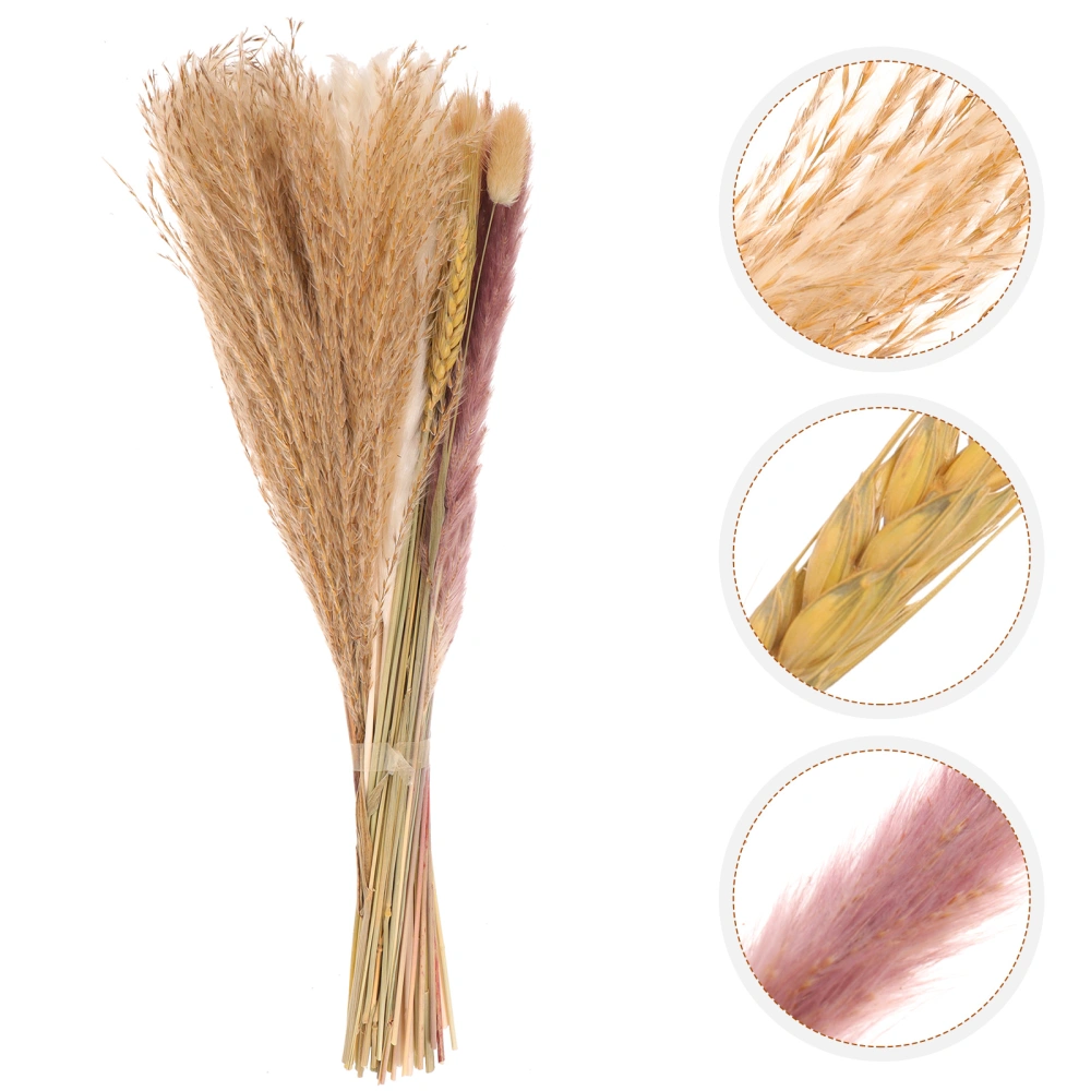 50pcs Dried Pampas DIY Ornament Vase Dried Pampas Decors Natural Dried Pampas Bouquets Home Decors