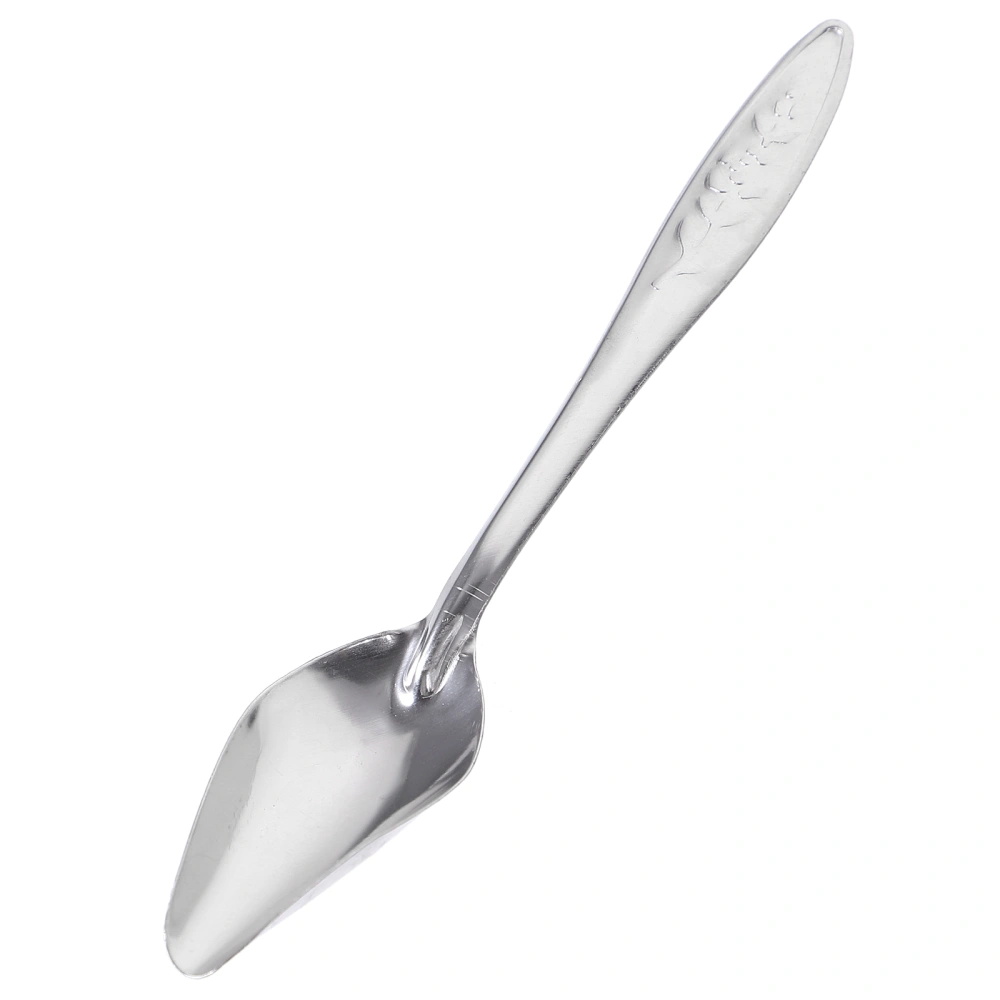 Bird's Stainless Steel Feeding Spoon Parrot's Milk Powder Spoon Bird Parrot Spoon (Silver)