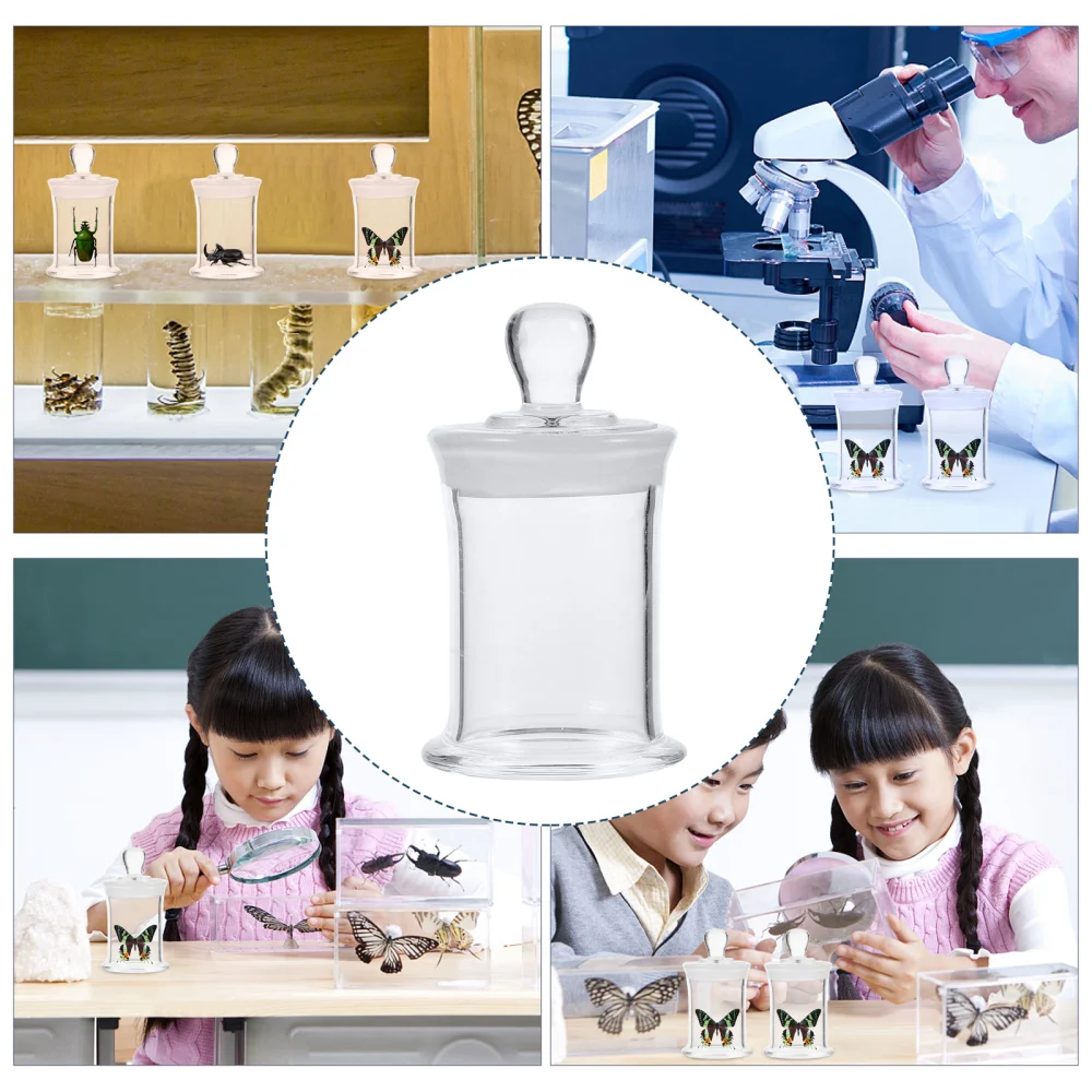 Sample Storage Bottle Clear Laboratory Bottle Practical Glass Sample Vial